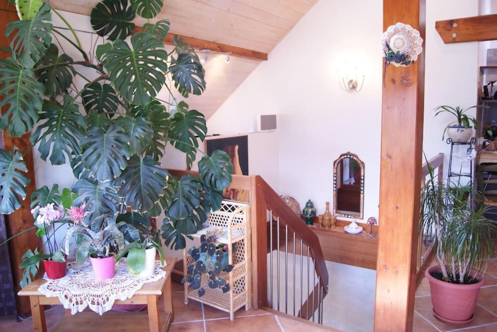 B&B Le Sourire Du Lac Sévrier Exterior foto
